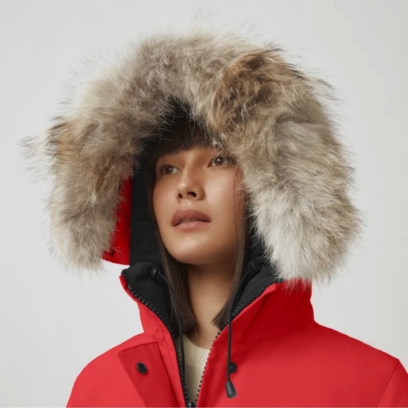 NWT Canada Goose Victoria Parka Medium - Picture 2 of 3